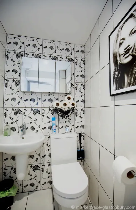 Image of Downstairs toilet